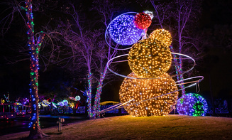 Jacksonville NY Taxi and car Service holiday lights tour transportation for families and visitors