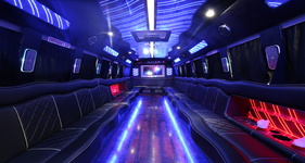 Jacksonville NY party bus for 3 to 20 passengers, fun for nightlife and celebrations